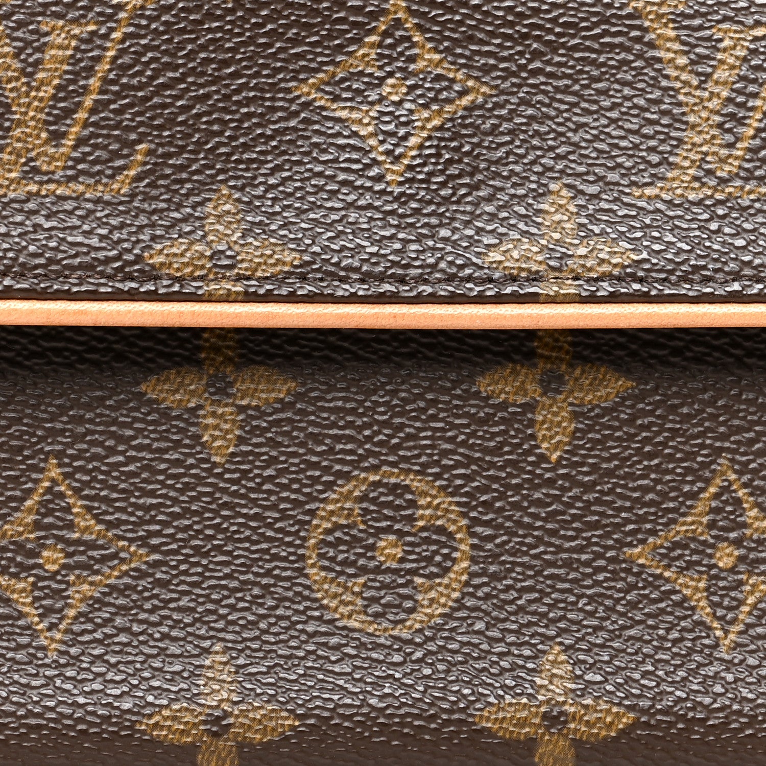 Louis Vuitton Monogram Pochette Florentine M 7 of 9