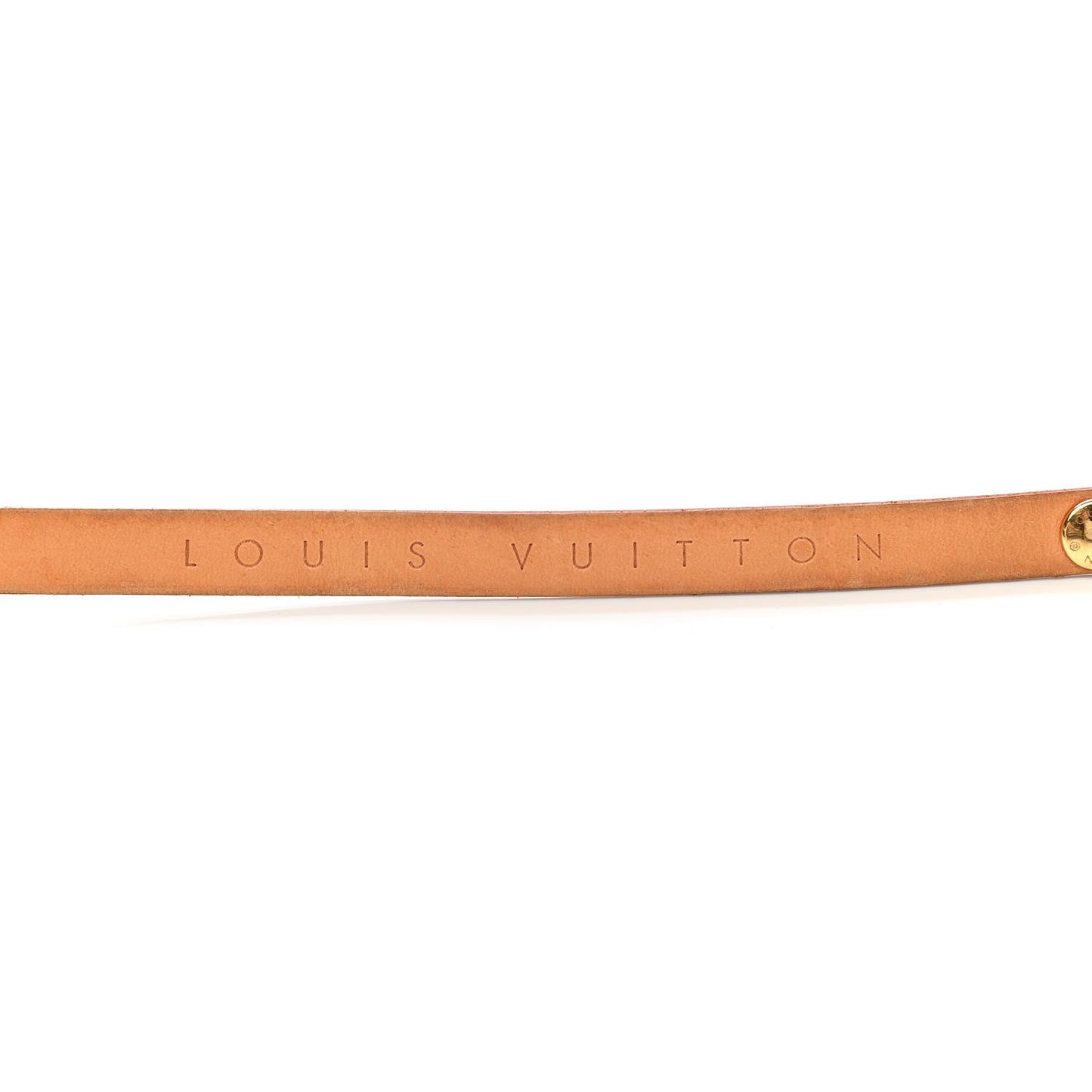 Monogram Pochette Florentine M