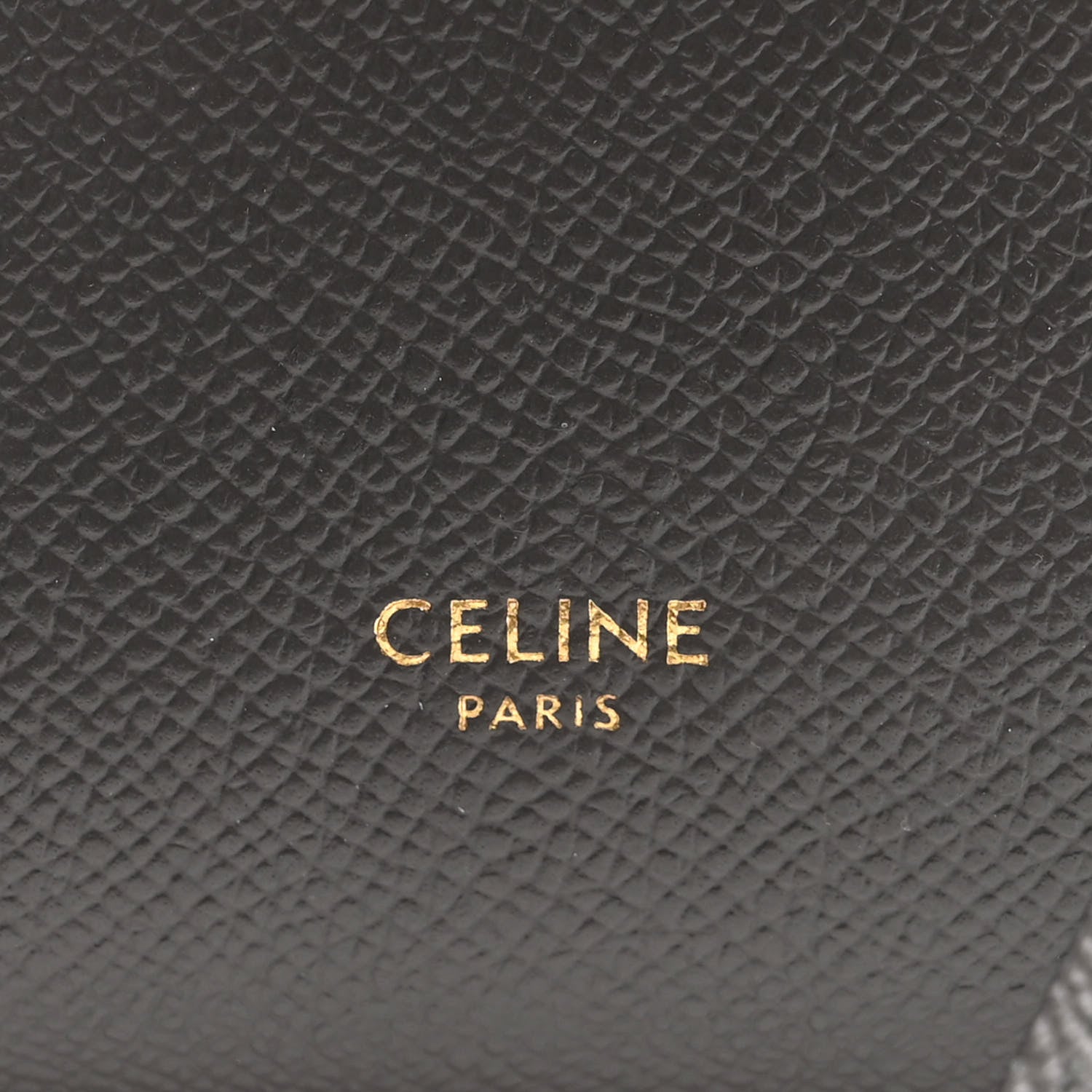 Celine Grained Calfskin Nano Belt Bag Grey 5 of 13