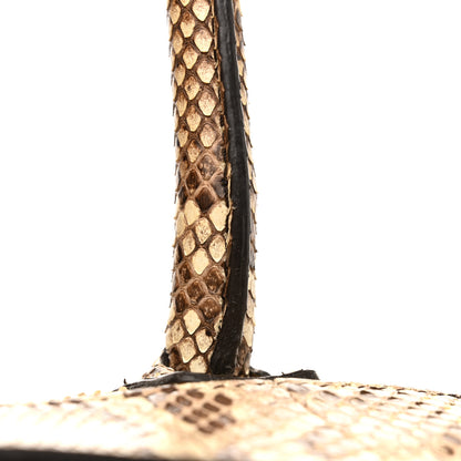 Celine Snakeskin Mini Luggage Beige 13 of 18