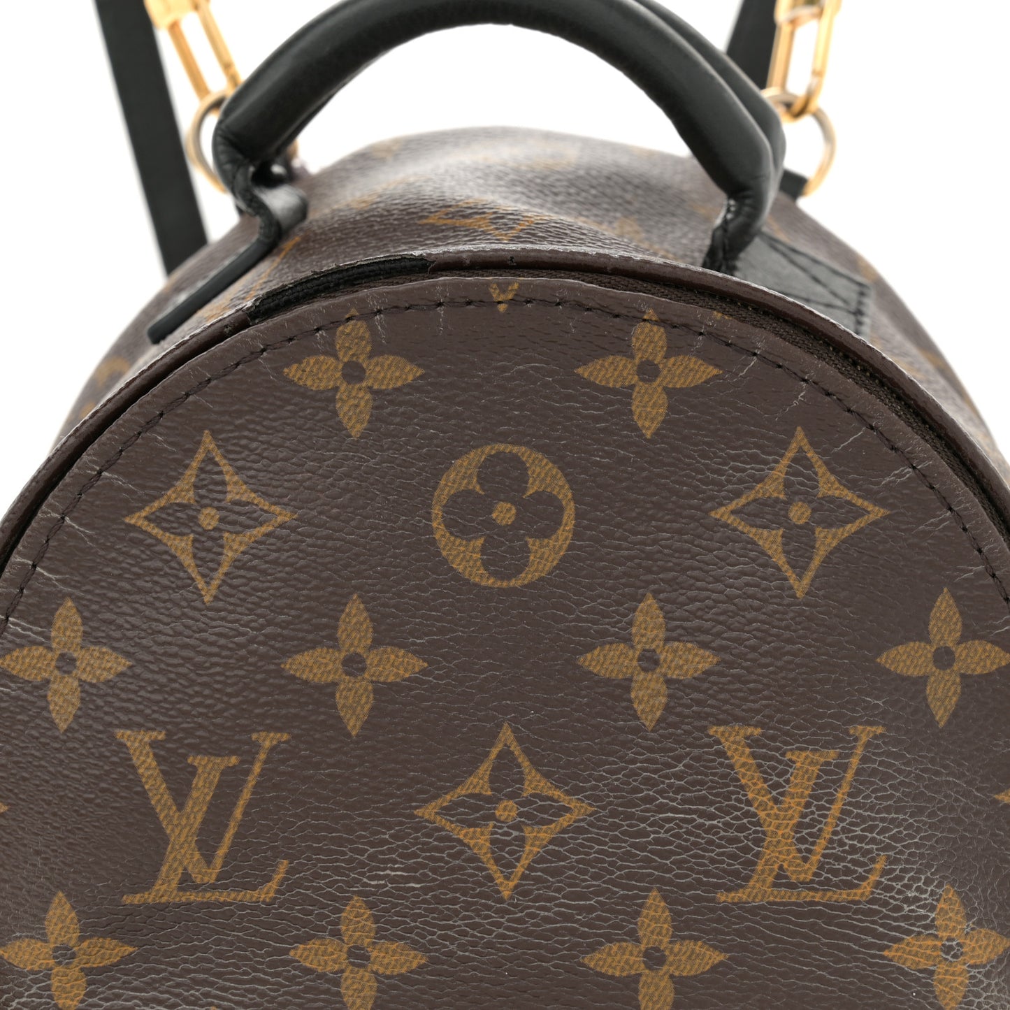 Monogram Palm Springs Backpack Mini