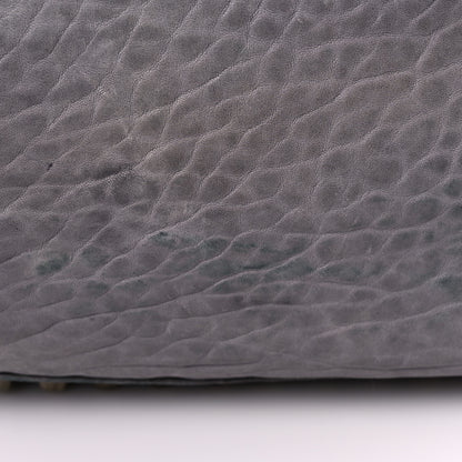 Alexander Wang Pebbled Lambskin Darcy Hobo Pale Gold Hardware 15 of 26