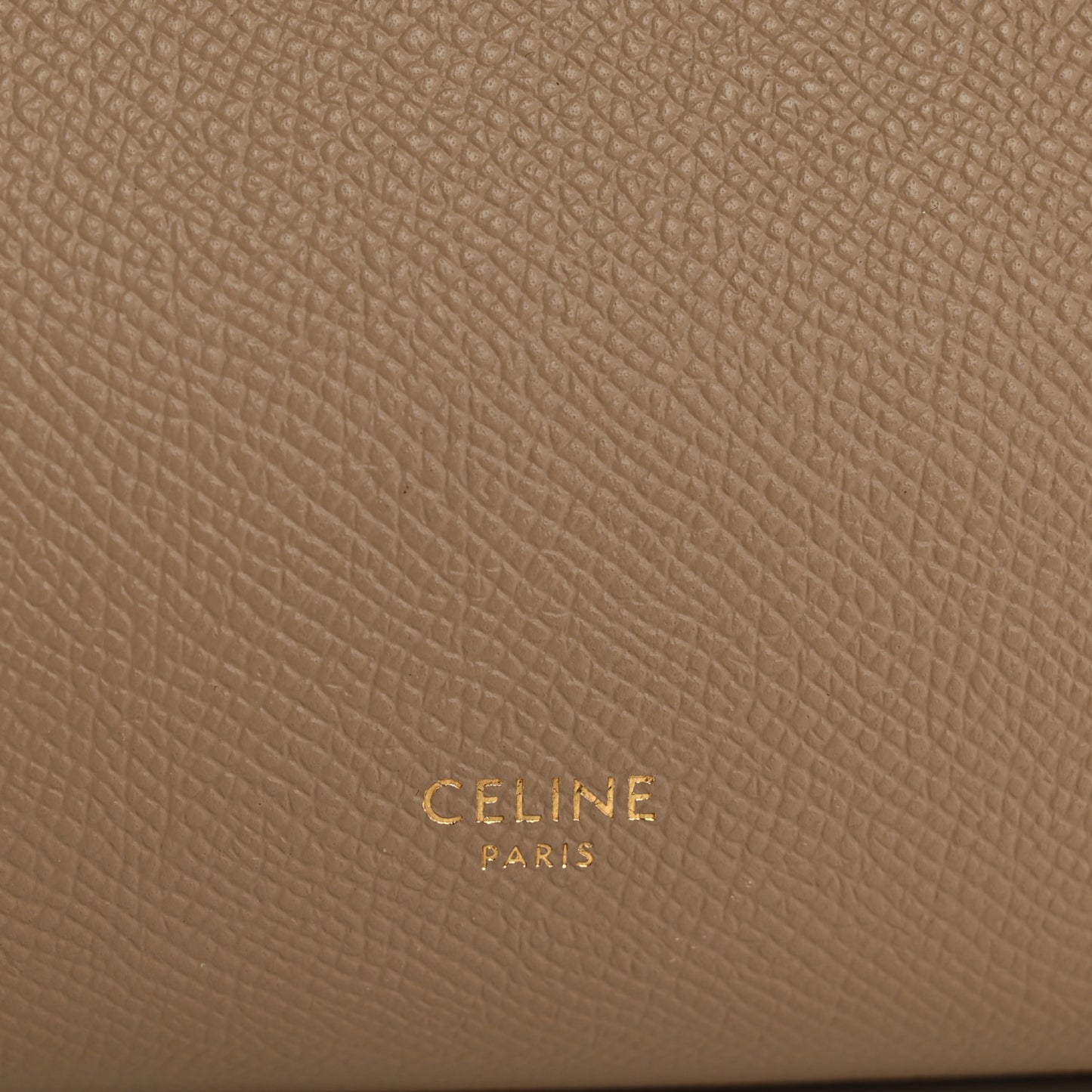 Grained Calfskin Nano Belt Bag Light Taupe