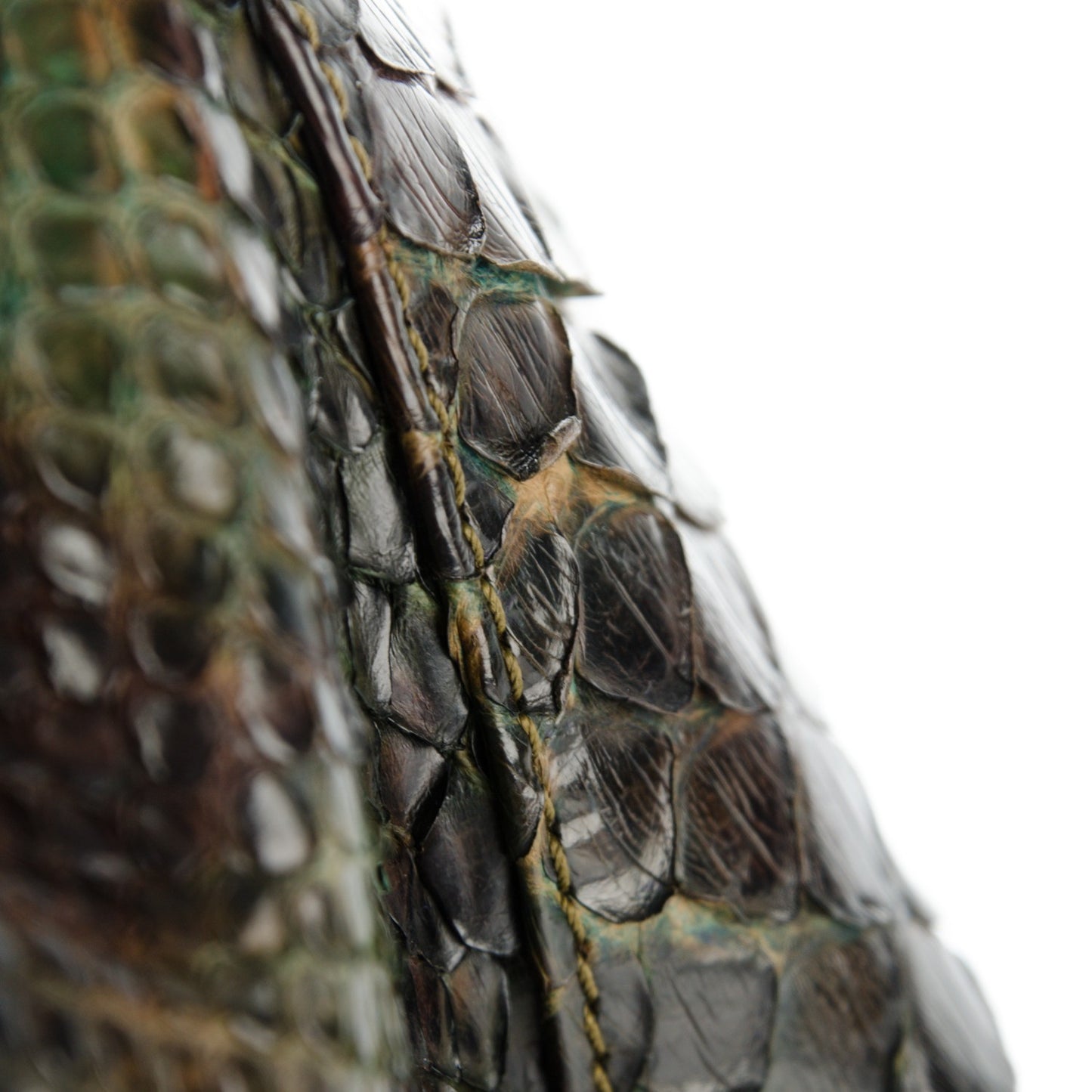 Python Tassel Drawstring Shoulder Bag Dark Blue Brown