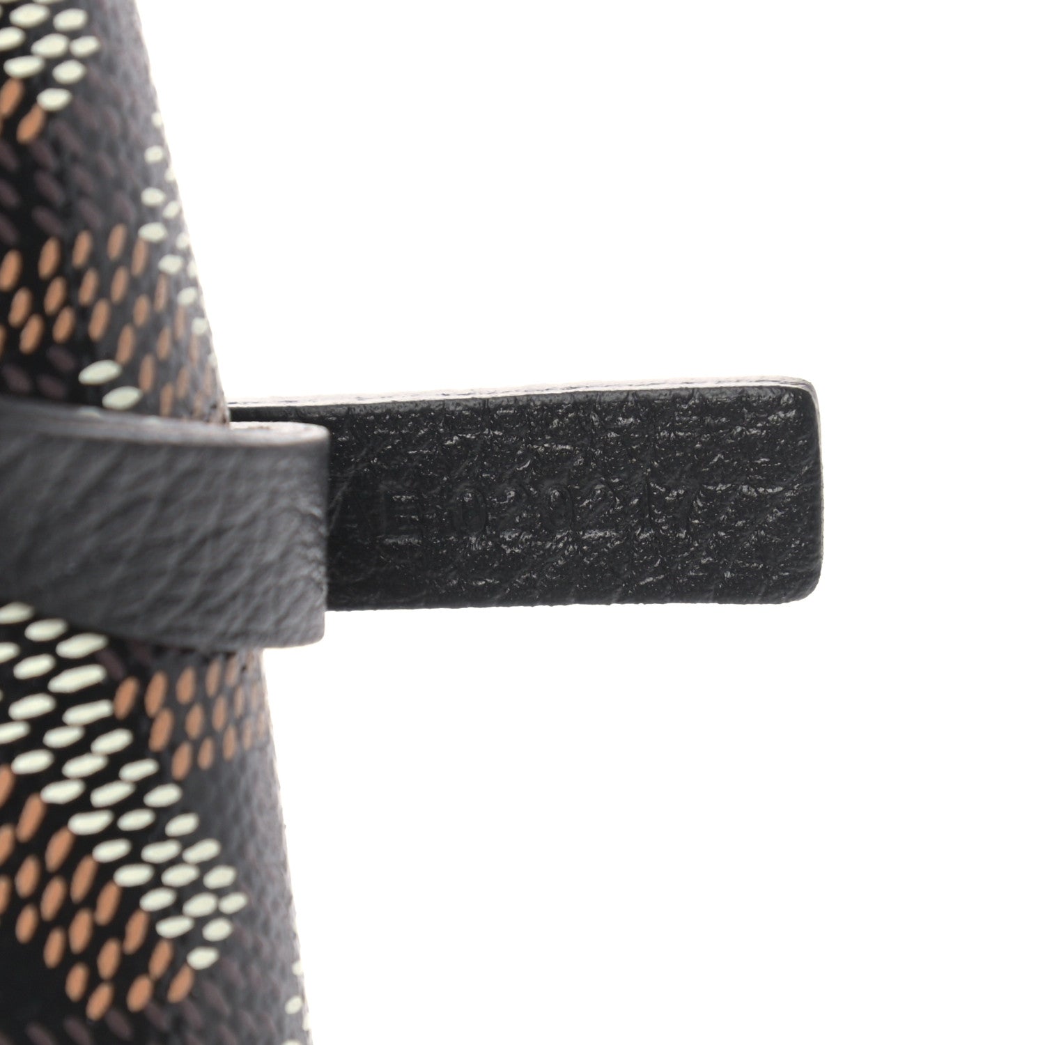 Goyard Goyardine Saint Louis PM Black 8 of 10