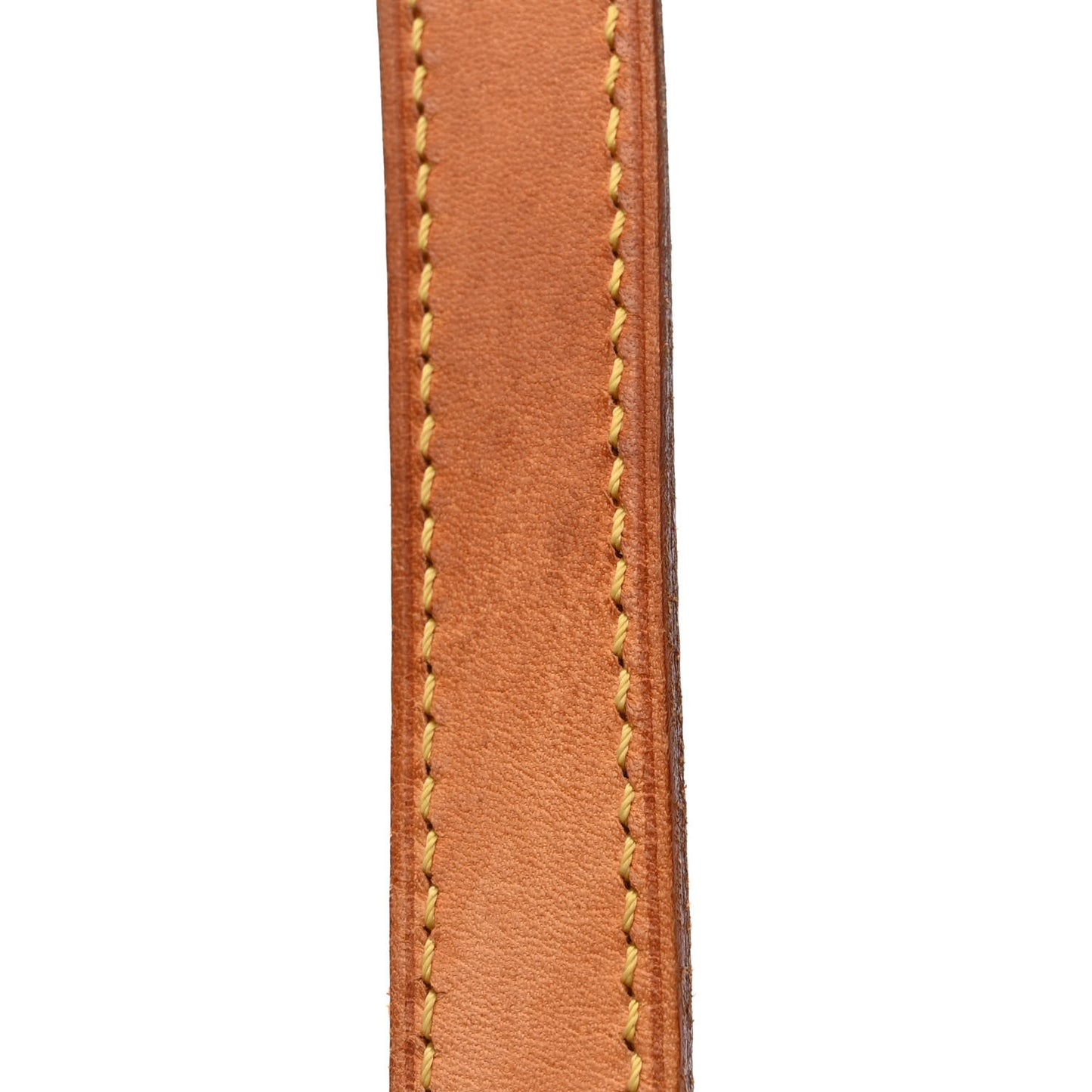 Monogram Cabas Mezzo