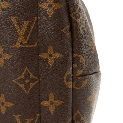 Louis Vuitton Monogram Palm Springs Backpack Mini 13 of 13
