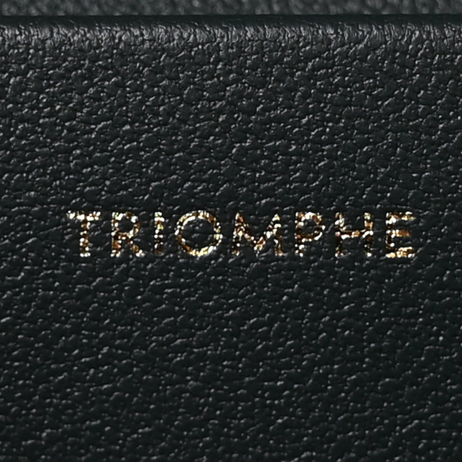 Celine Shiny Calfskin Teen Triomphe Amazone 7 of 10