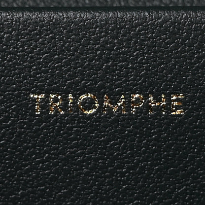Celine Shiny Calfskin Teen Triomphe Amazone 7 of 10