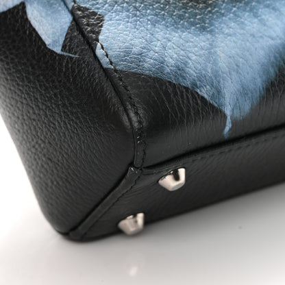 Christian Dior Deerskin Floral Printed Mini Lady Dior Black Blue 13 of 15
