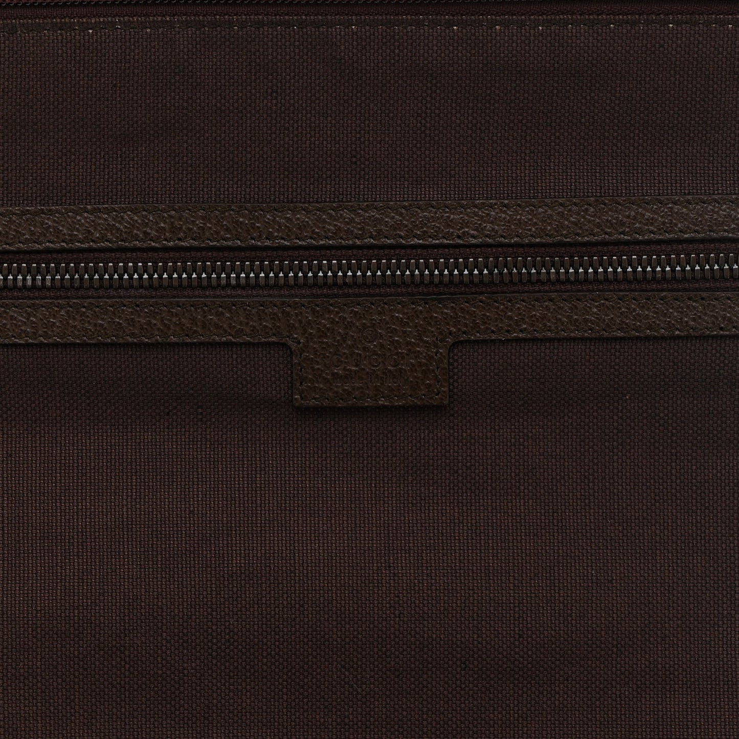 GG Supreme Monogram Textured Dollar Calfskin Web Ophidia Savoy Garment Bag Beige Ebony New Acero