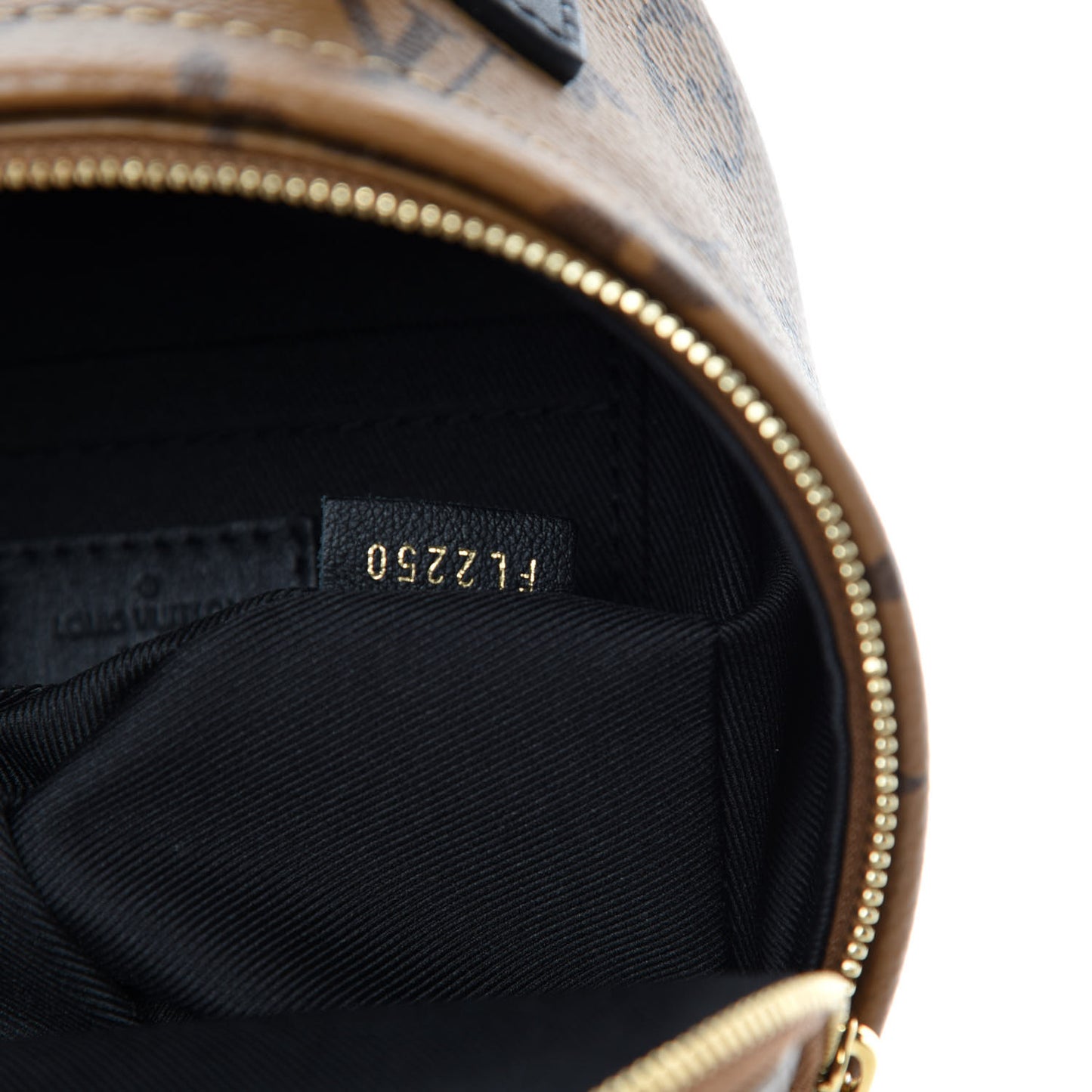 Reverse Monogram Palm Springs Backpack Mini