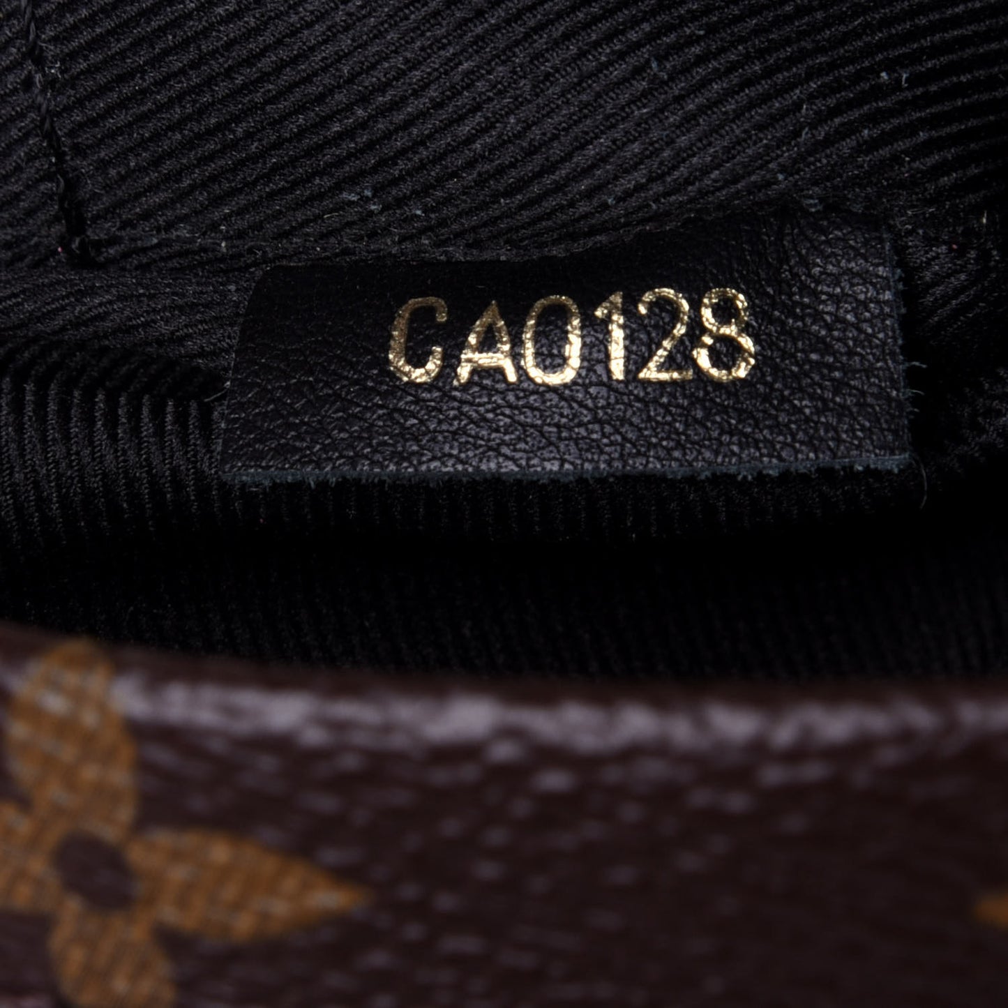 Monogram Palm Springs Backpack Mini
