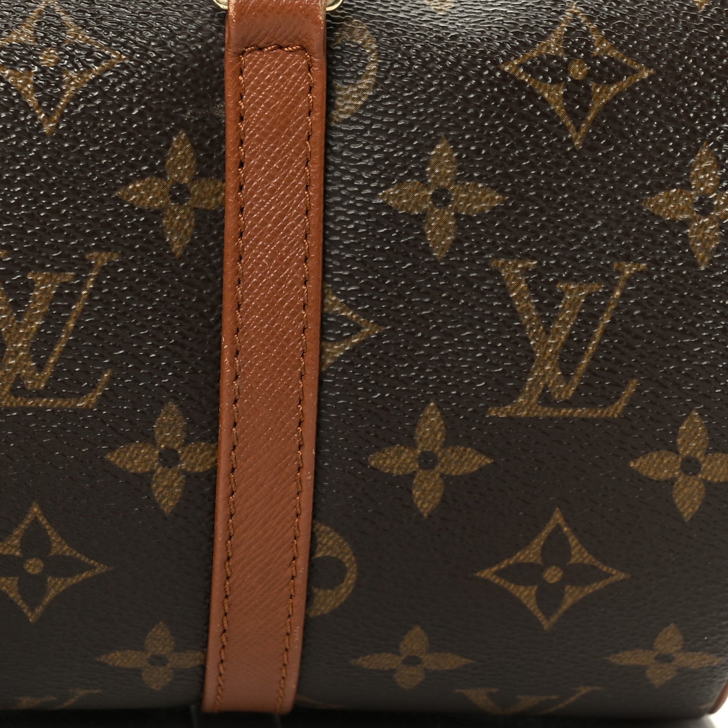 Monogram Papillon 30 with Companion