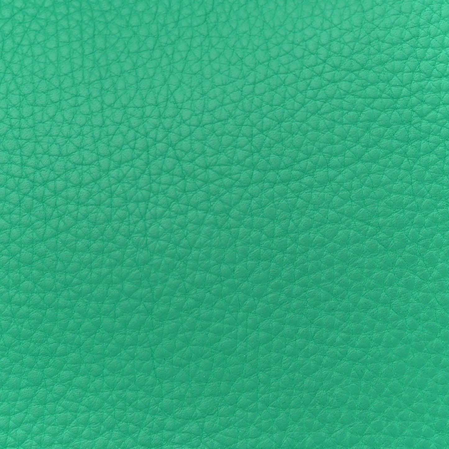 Taurillon Clemence Birkin 40 Menthe