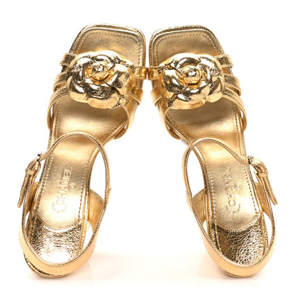 Chanel Crackled Laminated Calfskin Camellia Sandals 39.5 Gold 2 of 9