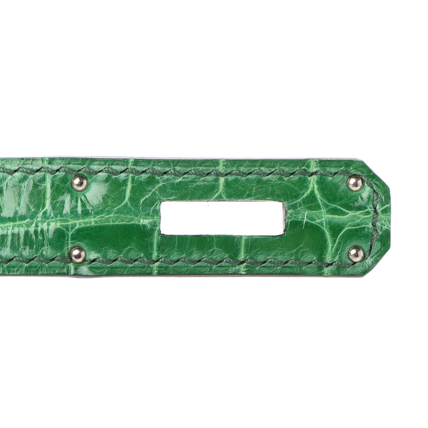 Togo Shiny Niloticus Crocodile Birkin Touch 30 Bamboo Cactus