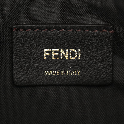 Fendi Vitello Grace Matte Small Fendigraphy Hobo Bag Tortora 5 of 9