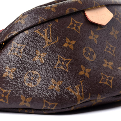 Louis Vuitton Monogram Bumbag 13 of 21