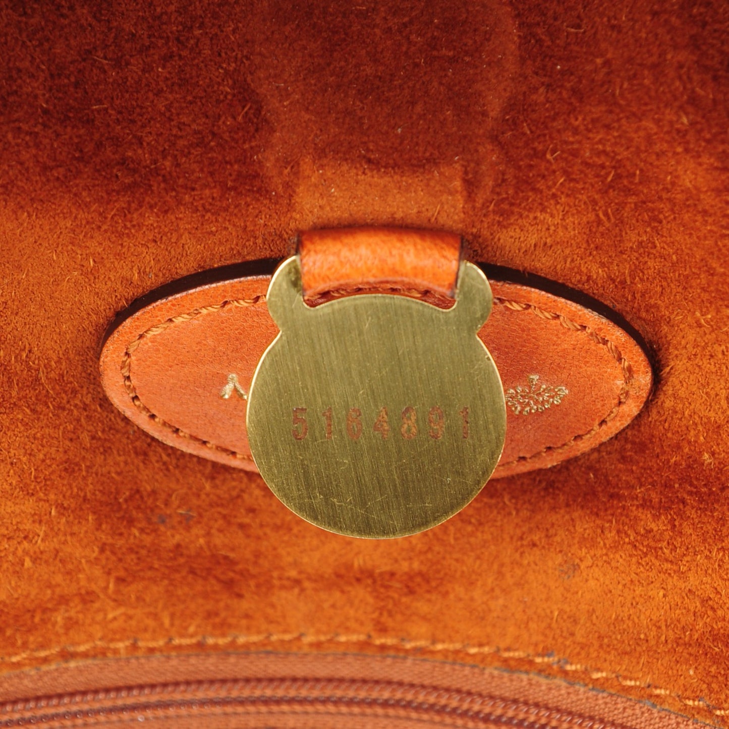 Large Grain Nappa Medium Alexa Pumpkin