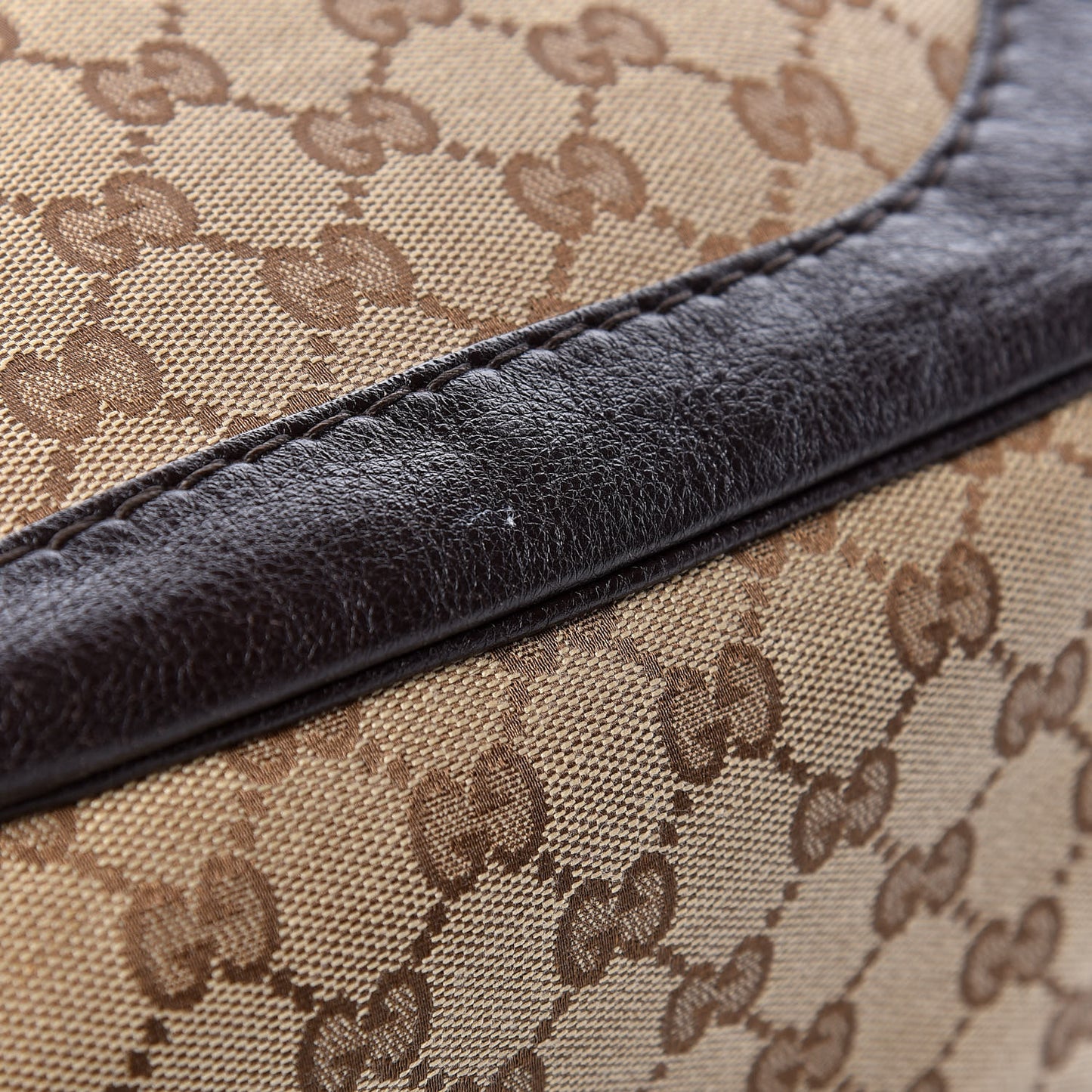 Monogram Medium Charlotte Hobo Brown