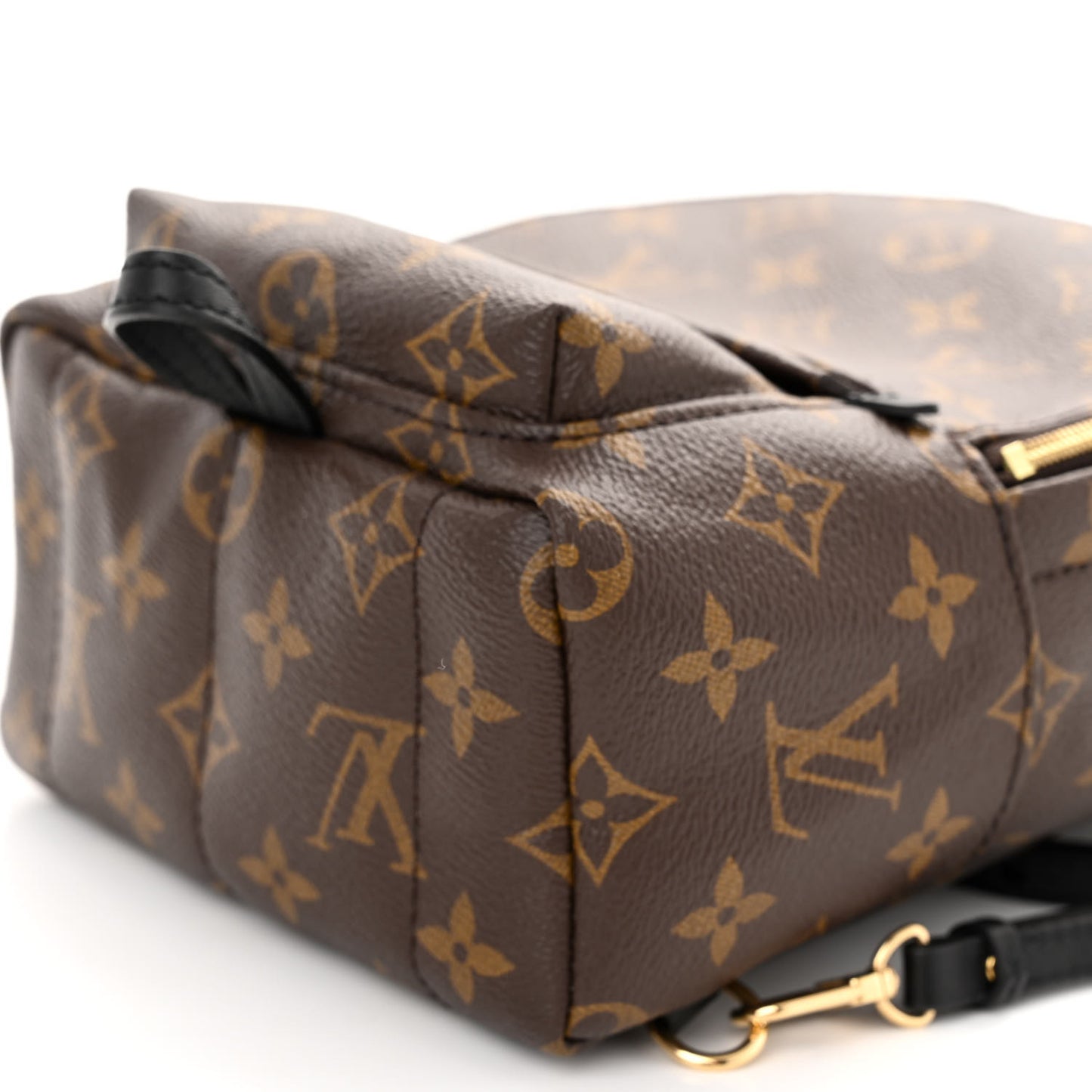 Monogram Palm Springs Backpack Mini