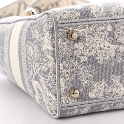 Christian Dior Canvas Toile De Jouy Reverse Embroidered Medium Lady D-Lite Fluorescent Grey 7 of 11