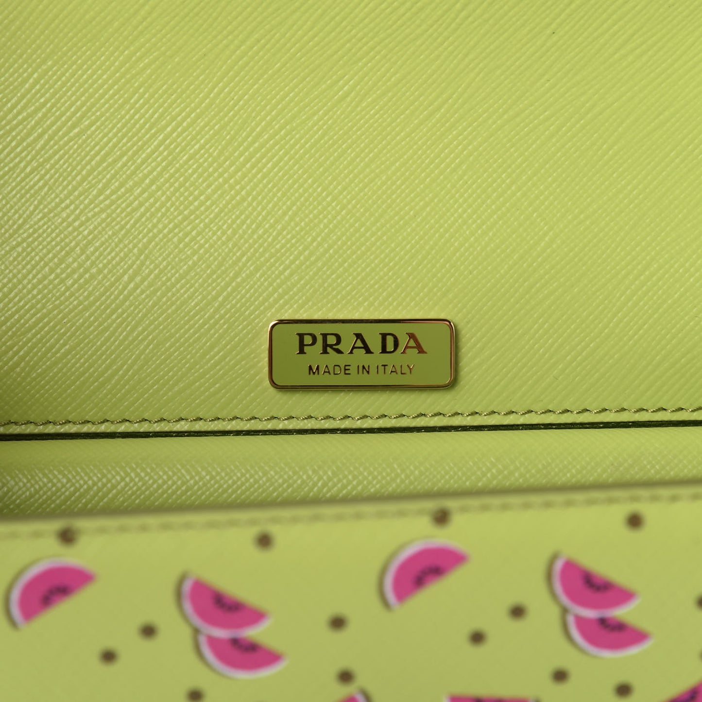 Saffiano Watermelon Print Shoulder Bag Erba