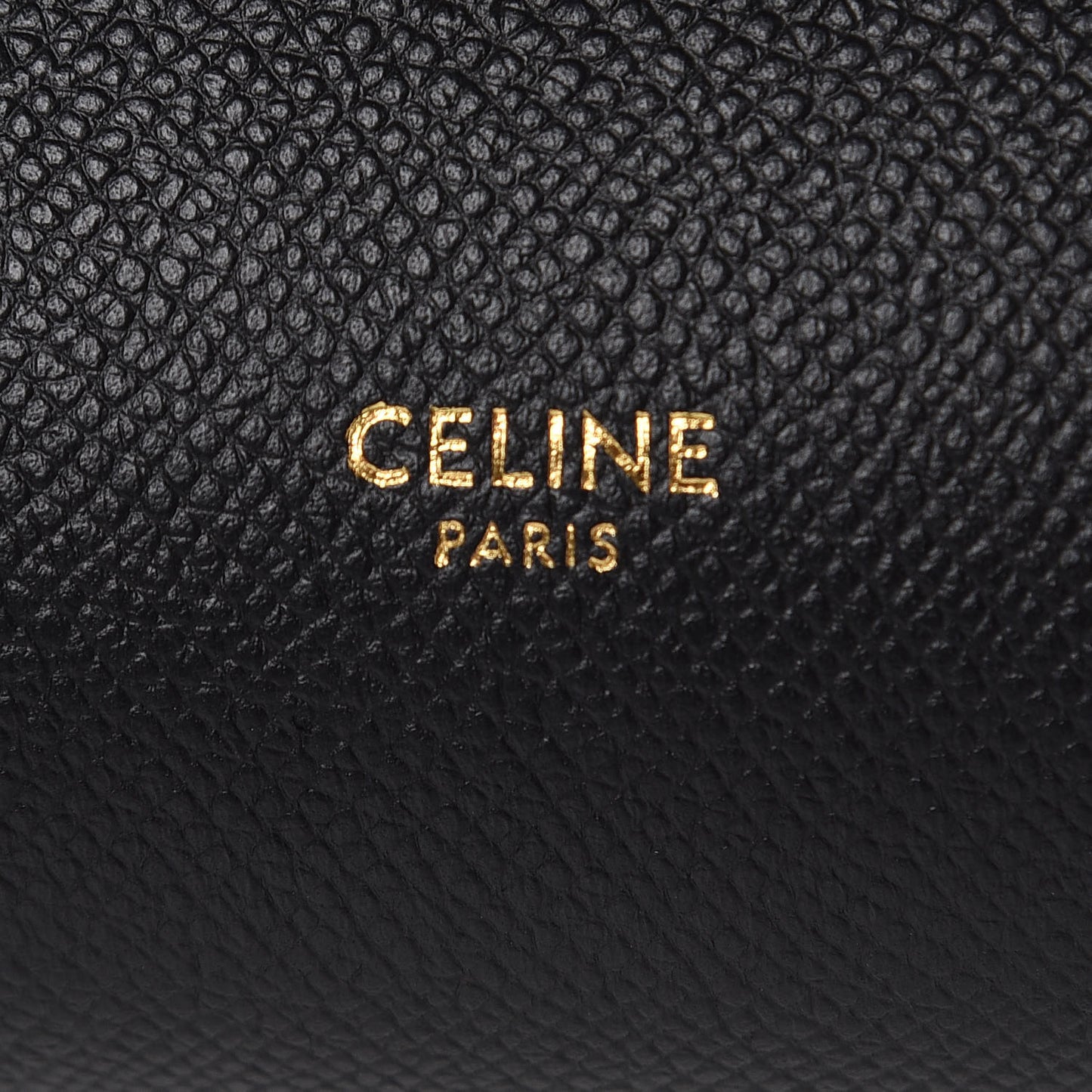 Grained Calfskin Nano Belt Bag Black