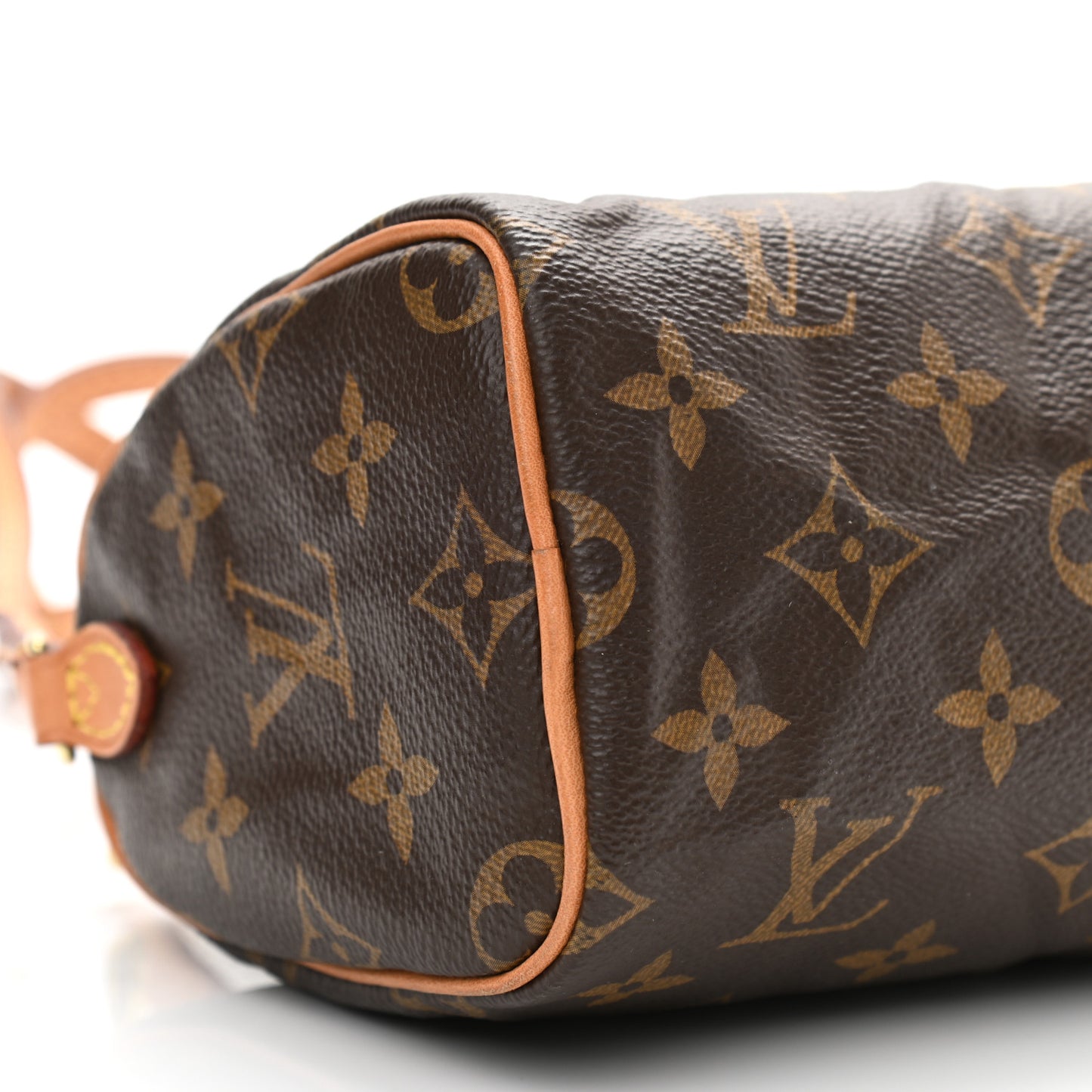 Monogram Nano Speedy