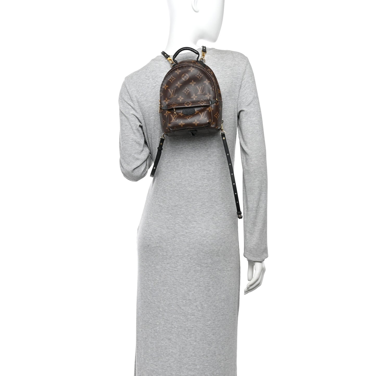 Monogram Palm Springs Backpack Mini