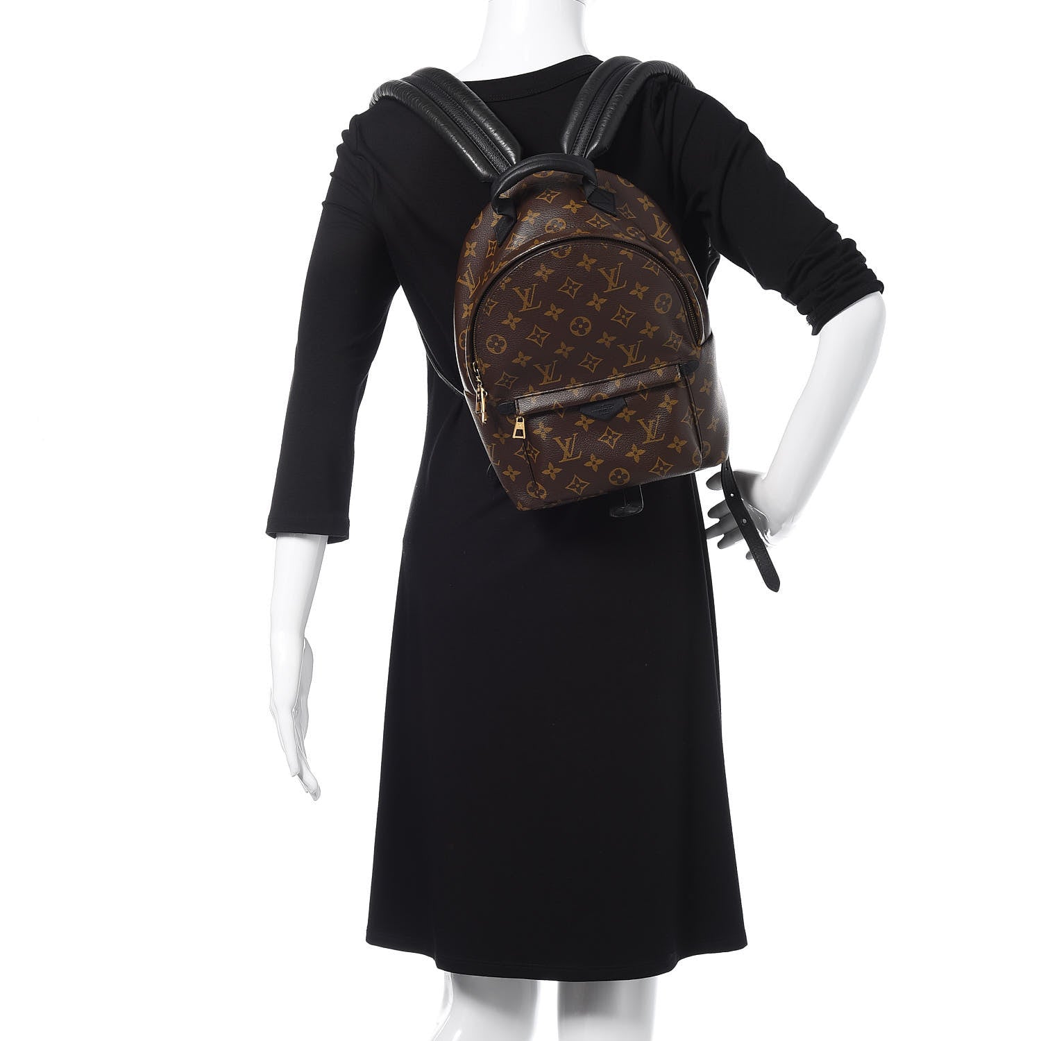Louis Vuitton Monogram Palm Springs Backpack PM 2 of 11