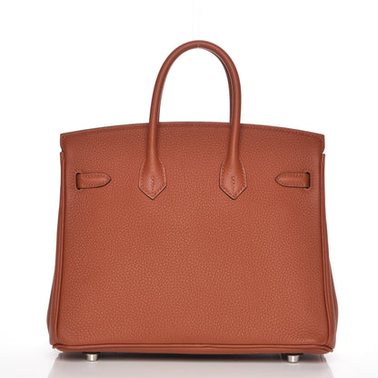 Hermes Togo Birkin 25 Cuivre 4 of 27