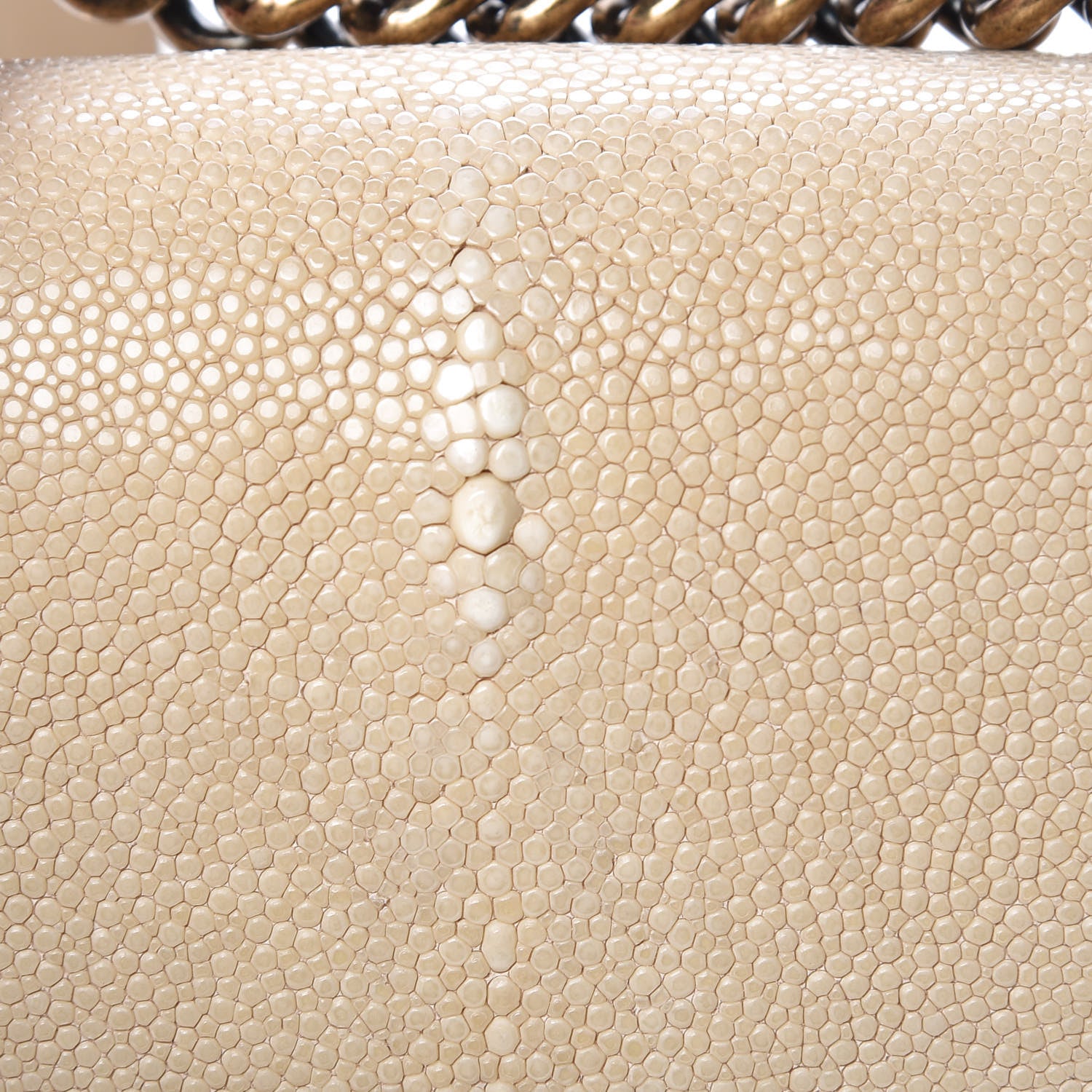 Chanel Galuchat Stingray Small Boy Flap Beige 16 of 16