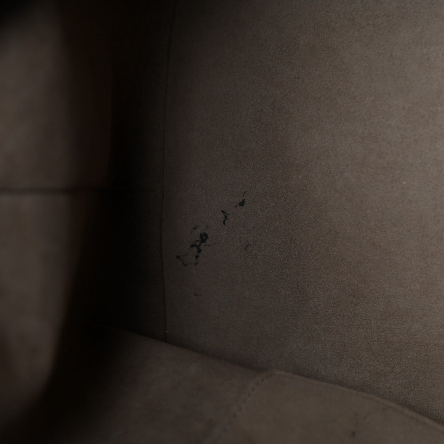 Monogram Multicolor Petit Noe Black