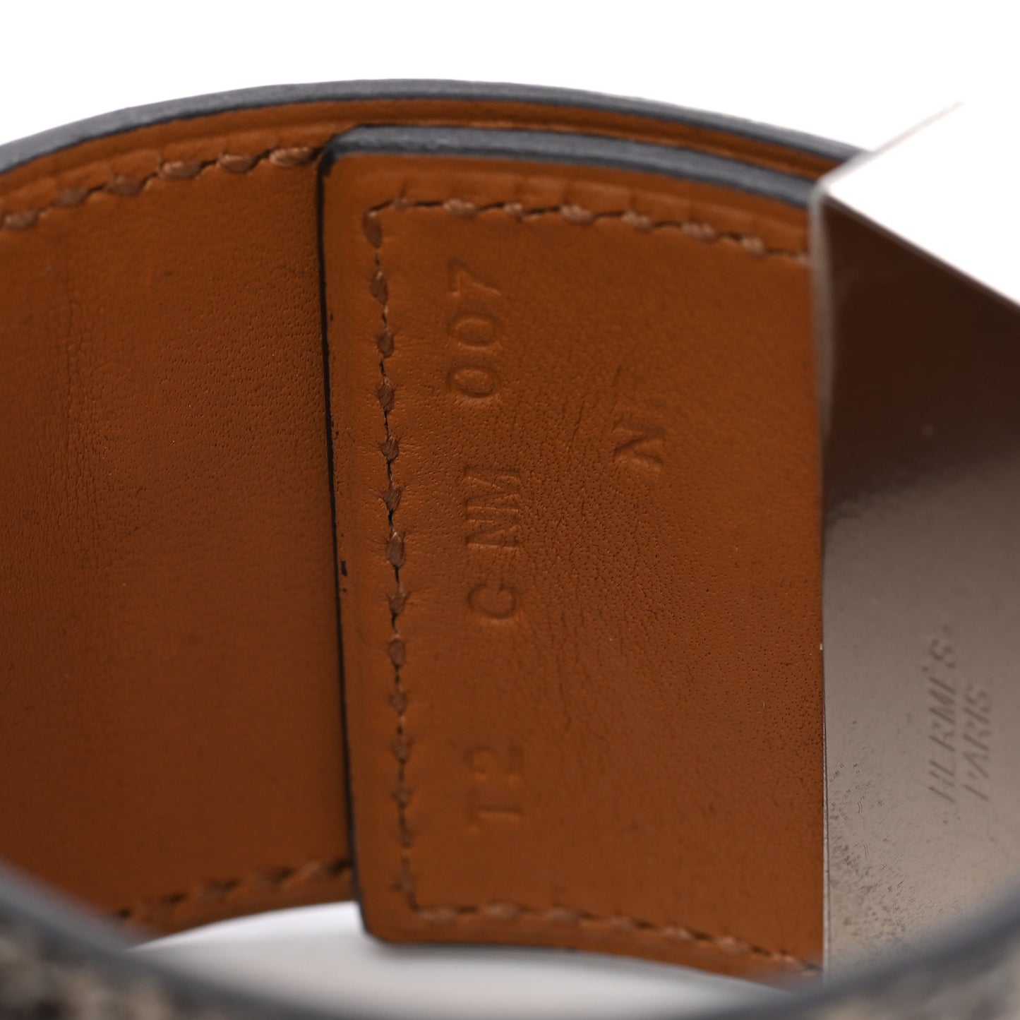 Lizard Collier De Chien CDC Bracelet T2 Ombre
