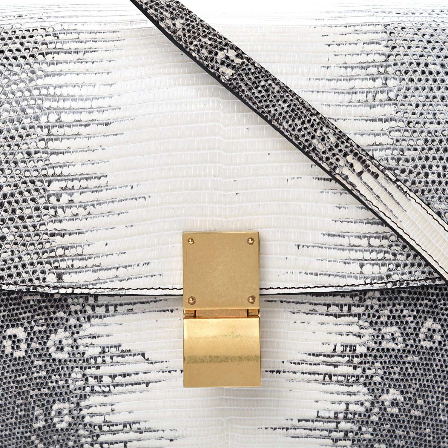 Celine Lizard Medium Classic Box Flap Bag Mineral 7 of 14