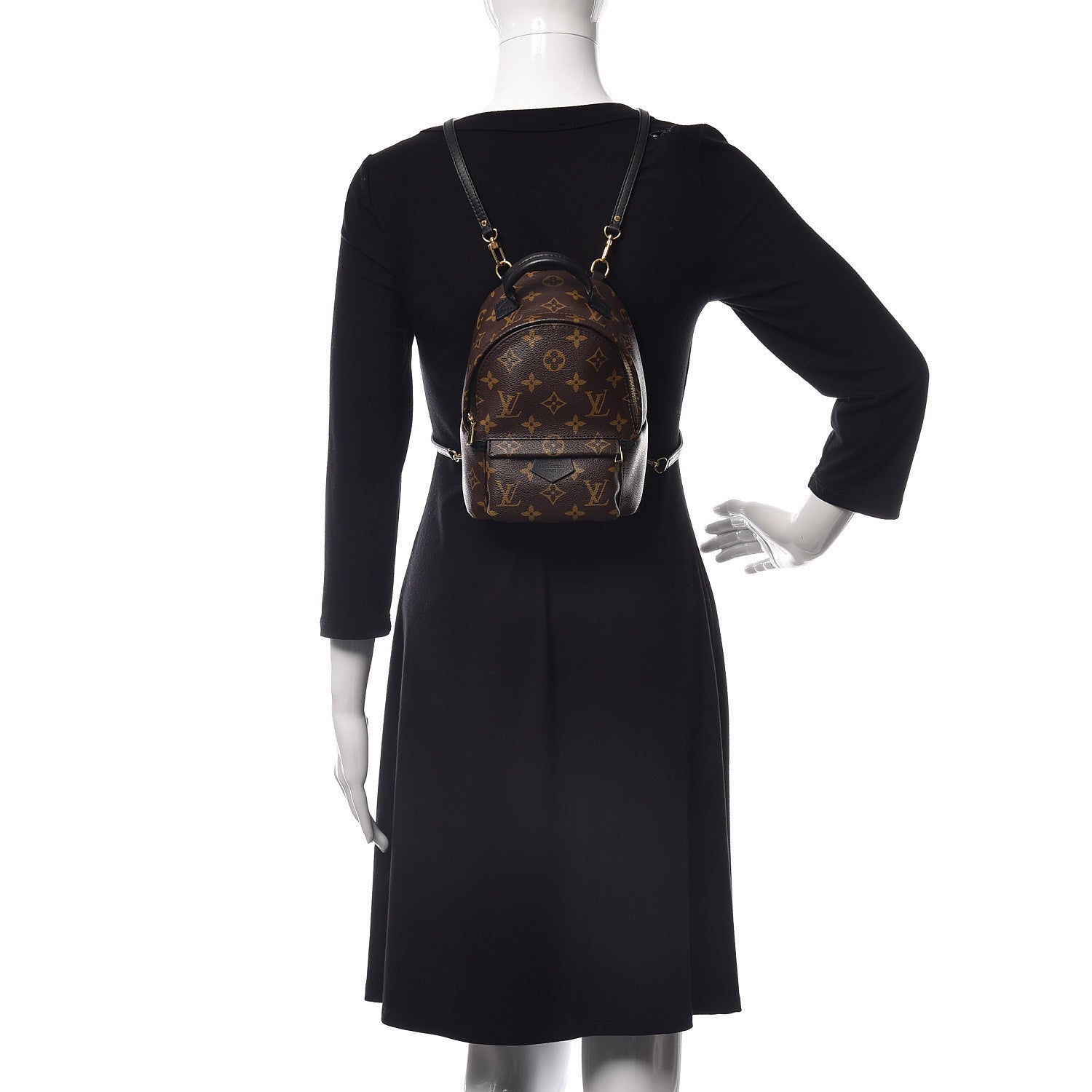 Louis Vuitton Monogram Palm Springs Backpack Mini 2 of 11