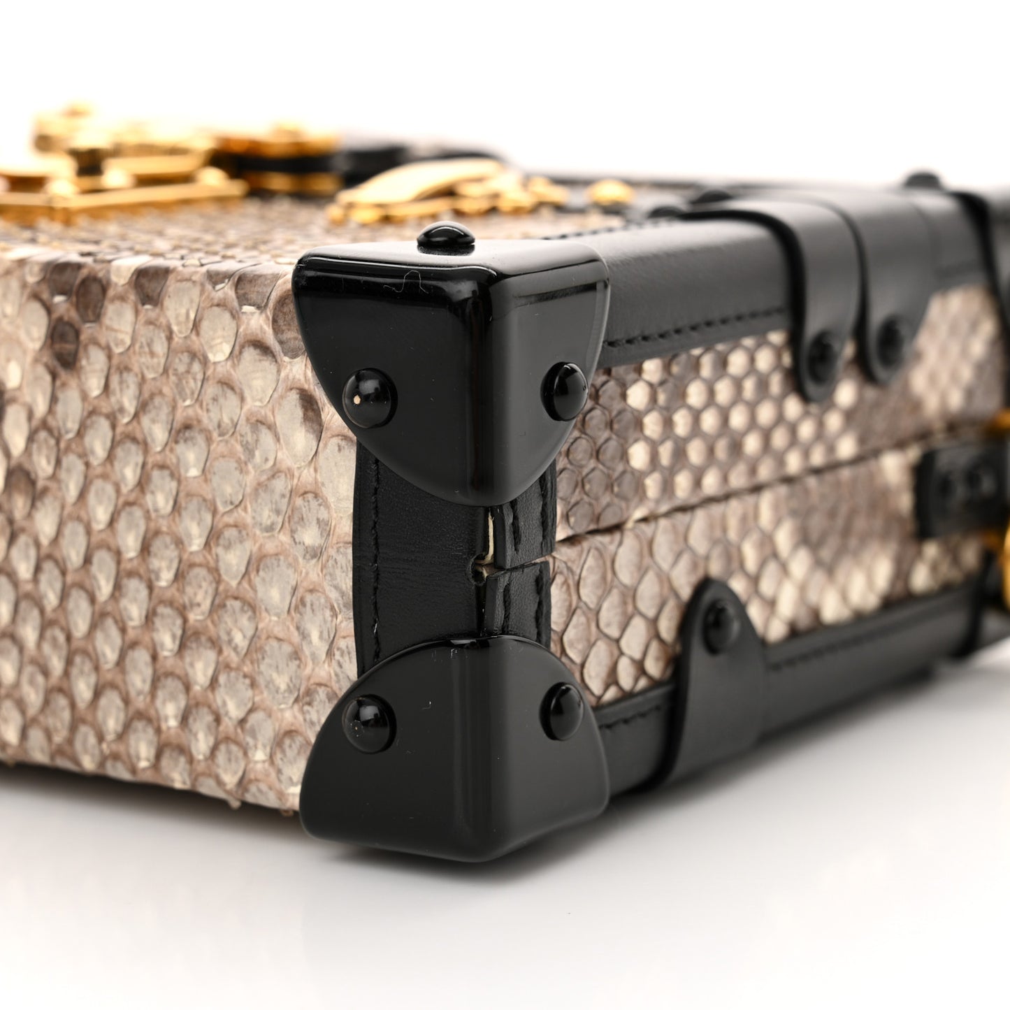 Snakeskin Petite Malle
