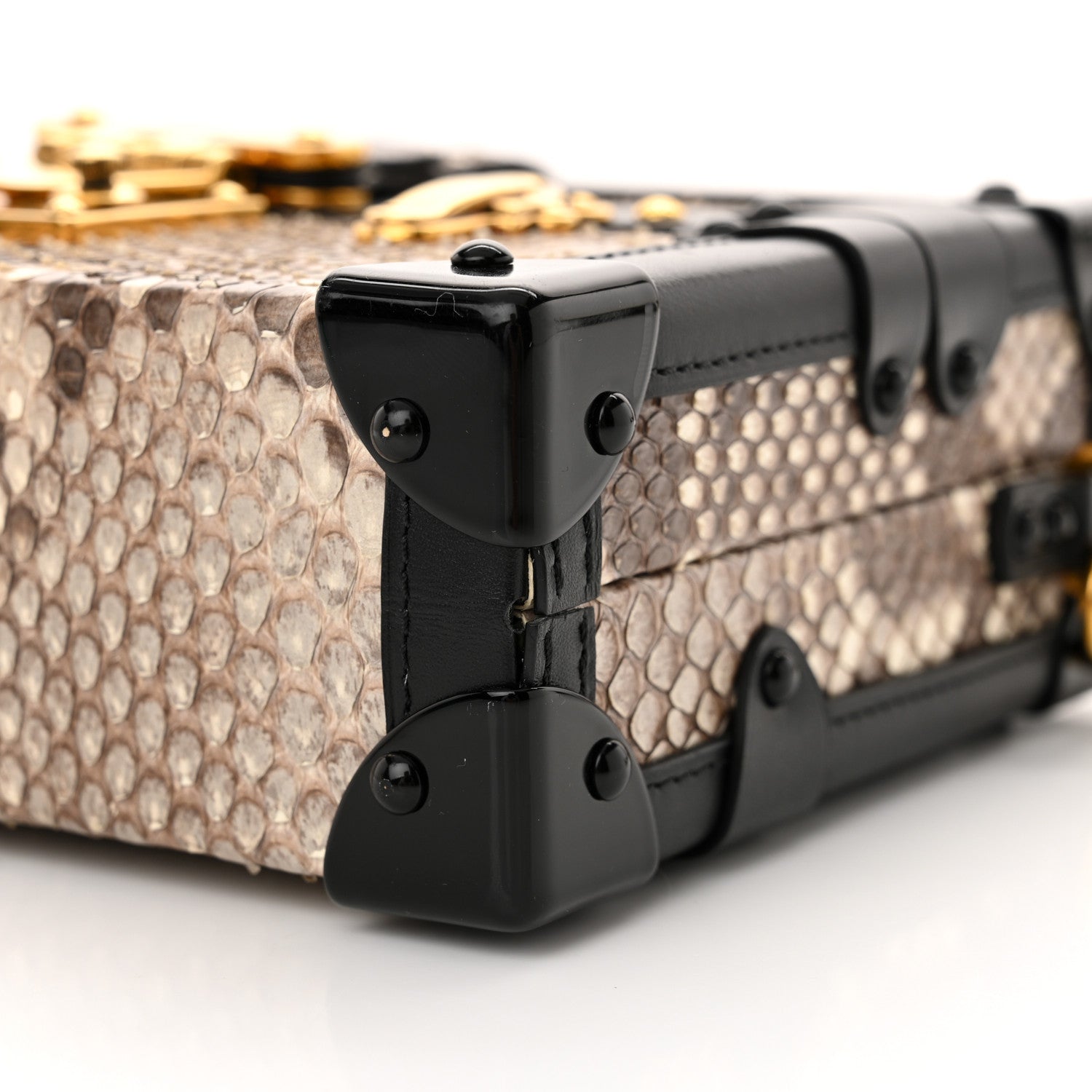 Louis Vuitton Snakeskin Petite Malle 9 of 12