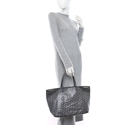 Goyard Goyardine Saint Louis PM Grey 2 of 10
