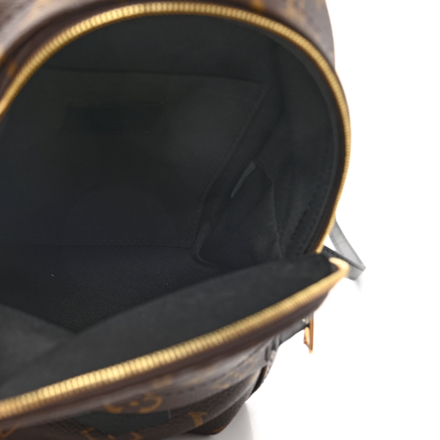 Louis Vuitton Monogram Palm Springs Backpack Mini 5 of 11