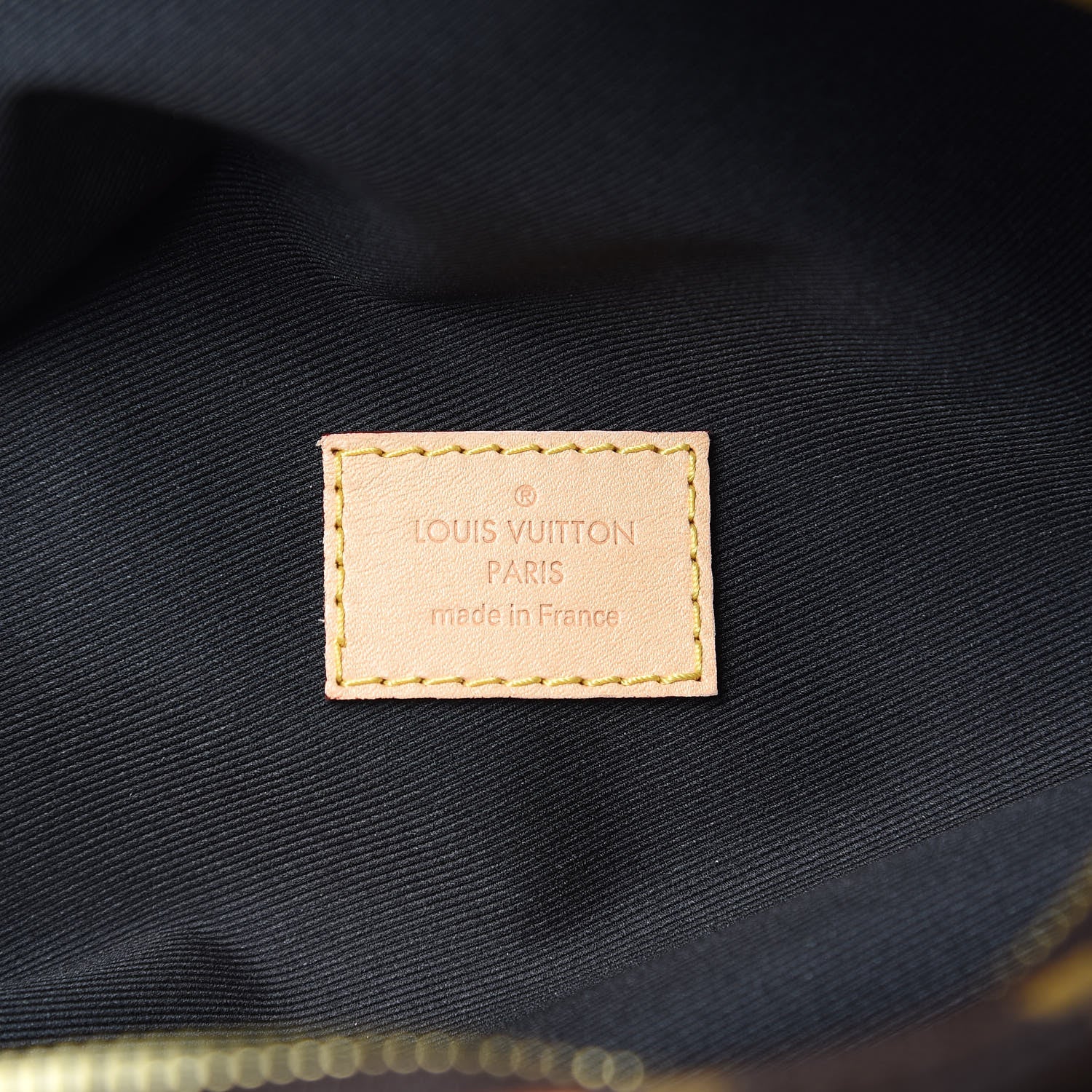 Louis Vuitton Monogram Bumbag 6 of 10