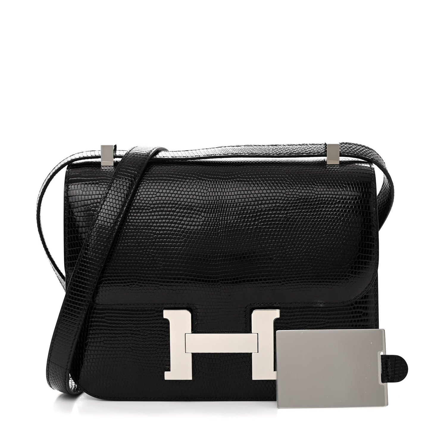 Lizard Constance 1-24 Black