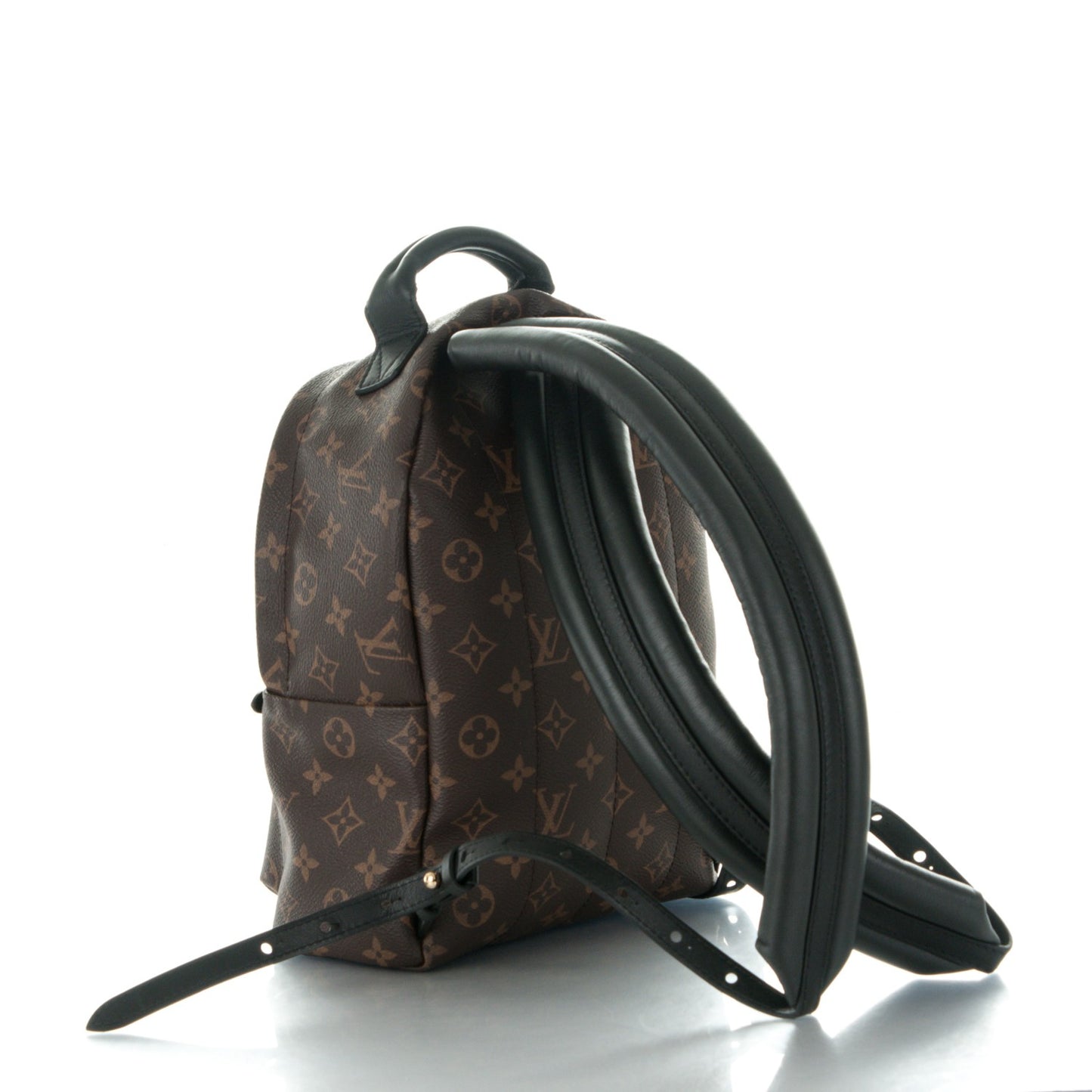 Monogram Palm Springs Backpack PM