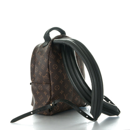 Louis Vuitton Monogram Palm Springs Backpack PM 3 of 7