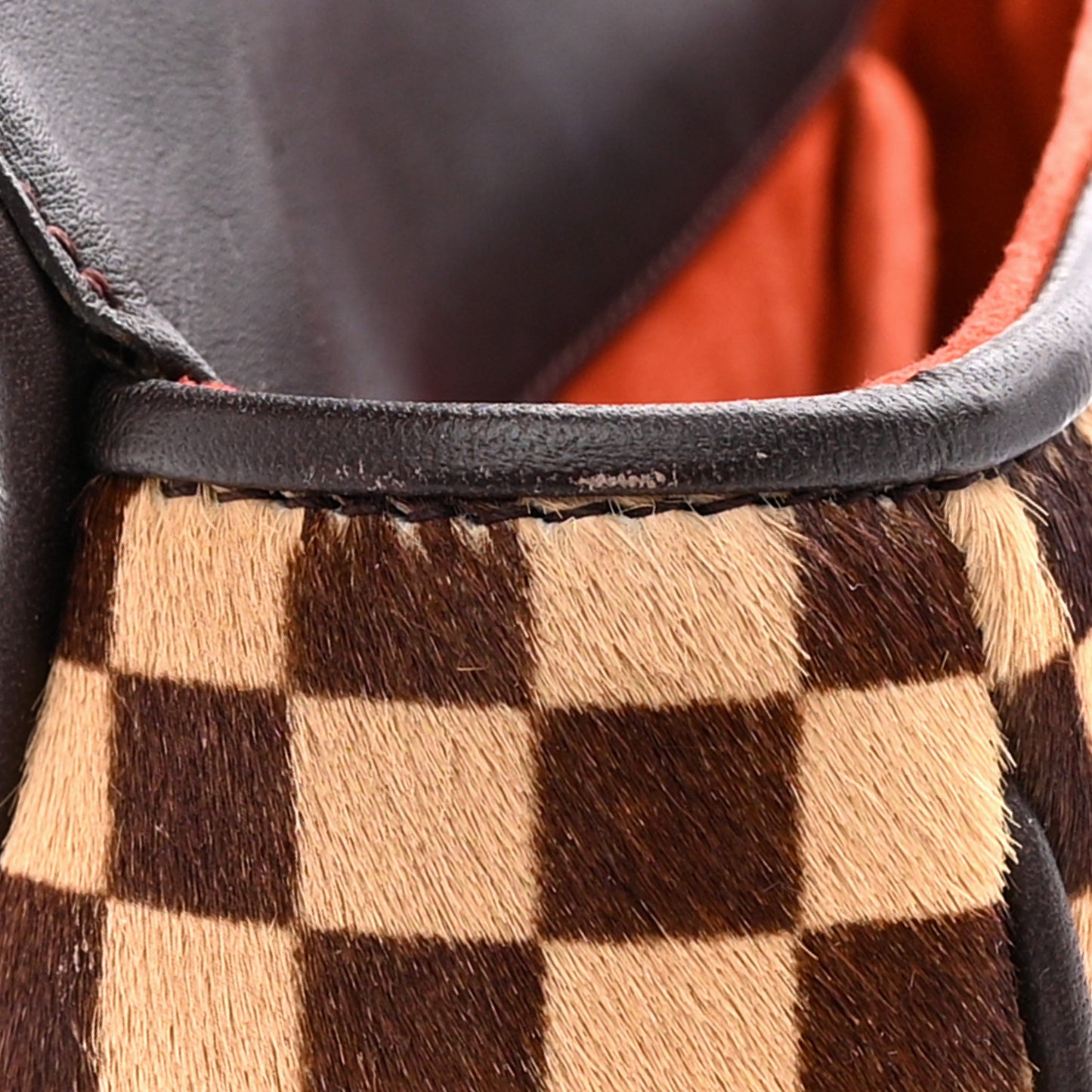 LOUIS VUITTON Damier Sauvage Lionne