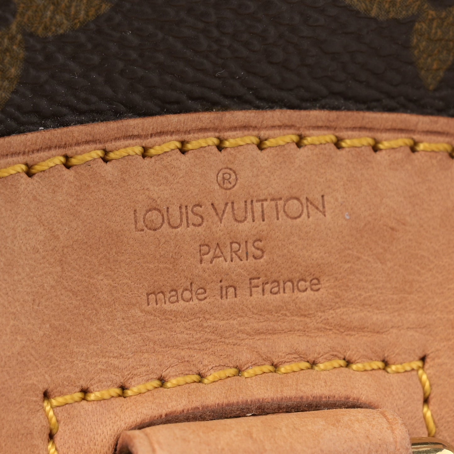 Monogram Mini Montsouris Backpack