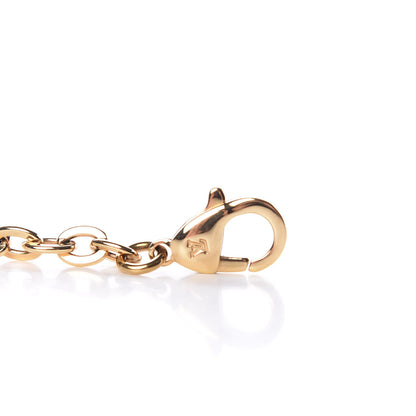 Louis Vuitton Felicie Chain Long Shoulder Strap 3 of 4