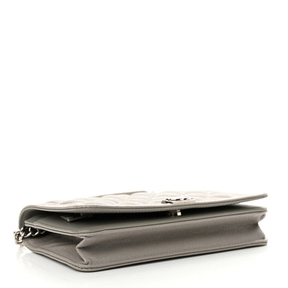 Chanel Caviar Quilted Boy Wallet On Chain WOC Grey 4 of 16